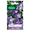Image de Vilmorin - Sachet graines Campanule des carpathes bleue