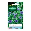 Image de Vilmorin Sachet graines Centaurée Bleuet Bleue