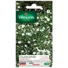 Image de Vilmorin - Sachet graines Gypsophile nuage blanc