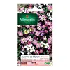 Image de Vilmorin - Sachet graines Julienne de Mahon variée
