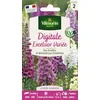 Image de Digitale Excelsior Variée
