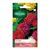 Image de Vilmorin : Zinnia À Fleur Monstrueuse Varié:en Sachet