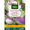 Image de Navet-Légume de Nancy à Feuille Entière - Grand Modèle