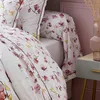 Image de Tradilinge - Taie de traversin imprimée Fleurs et Oiseaux Percale de Coton/Coton Rose Clair 86x240 cm