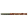 Image de TIVOLY GROUP TIV00318 Foret métaux TIVOLY FURIUS taillé meulé HSS-Ø 1 mm L.34 mm-Lot de 2-11454140100