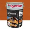 Image de Lasure extérieure Xylodhone Syntilor Chêne doré 5L garantie 8 ans