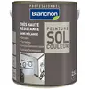 Image de Sol couleur - gris clair - 2.5 litres - Blanchon