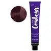 Image de Ducastel coloration cheveux ciblé, pour la routine capillaire, 100 ml