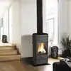 Image de Poêle à bois en fonte Remilly - INVICTA - 7kW