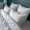 Image de Colas Normand - 2 Oreillers Moelleux Microfibre blancs - 45x70 cm 45x70 cm