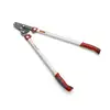 Image de Elagueur Premium à coupe franche 45 mm OUTILS WOLF OS750 75 cm - Powercut
