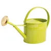 Image de Arrosoir ovale - GUILLOUARD - 1 75 L - Vert olive - Acier galvanisé