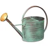 Image de Arrosoir ovale - GUILLOUARD - 4 L - Vert vieilli - Acier galvanisé