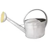 Image de Arrosoir 10L GUILLOUARD - Acier galvanisé avec pomme et grille laiton