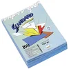 Image de Rainex Standard 180 100 Chemises 24 x 32 cm Rouge