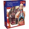 Image de MGM - Explora - Anatomie torse humain - Experience anatomie en occasion ou reconditionné