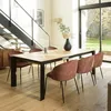 Image de MACABANE Tom - Lot de 2 chaises Velours Acajou Dossier Enveloppant Pieds Acier