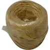 Image de Raphia synthetique beige pelote 100gr 40m env. cavalier