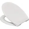 Image de abattant wc - frein de chute et déclipsable - 45 x 37.6 cm - alterna 95900311