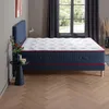 Image de DODO - Tête de lit + Sommier + Matelas 30 cm 180x200 cm - Ferme - Bleu