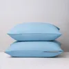 Image de DODO - Lot de 2 Protège Oreillers - Absorbants 2 en 1 - Givre 65x65 cm