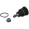 Image de TRW Joint de support/de guidage JBJ174 Compatible avec: HYUNDAI ACCENT II, ACCENT II Stufenheck, ACCENT IV Stufenheck, GETZ, i20 I, ix20, KIA PICANTO I, RIO III, RIO III Stufenheck, VENGA