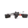 Image de TRW 2x Amortisseur Jambe de suspension Pression de gaz Essieu avant amortisseurs Compatible avec BMW X5 E53 JGM1009T