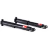 Image de TRW 2x Amortisseur Amortisseur télescopique Pression de gaz Essieu arrière amortisseurs Compatible avec RENAULT Megane III 3/5 portes BZ0/1 JGT1114T