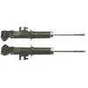 Image de TRW JGS1007T Amortisseur Boîte, Set de 2