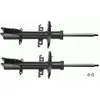 Image de TRW JGM1074T Amortisseur Boîte, Set de 2