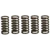 Image de Molle frizione TRW MEF352-5