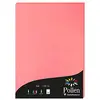 Image de Clairefontaine 4235C - Étui de 50 Feuilles - Format A4 (21x29,7cm) - 120g/m² - Coloris Litchi - Papier d'Invitation Evènements et Correspondance - Gamme Pollen - Papier Premium Lisse