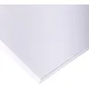Image de Clairefontaine 37305C Paquet Papier Dessin Croquis - 10 Feuilles Papier Dessin Blanc au Grain Très Léger - A1 59,4x84 cm 180g - Idéal pour le Dessin et Croquis au Crayon, Feutre ou Fusain