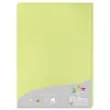 Image de Clairefontaine 224205C - Étui de 25 Feuilles - Format A4 (21x29,7cm) - 210g/m² - Coloris Vert Bourgeon - Papier d'Invitation Evènements et Correspondance - Gamme Pollen - Papier Premium Lisse