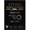 Image de Clairefontaine 975319C - Un bloc encollé 1 côté de papier dessin Etival 15 feuilles 29,7x42 cm 300g double grains (recto grain fin et verso grain torchon), Noir