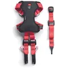 Image de Zolux Travel Safe Harnais de Sécurité Auto pour Chien S - Rouge - Tour de Poitrail 20-55cm - Chiens 2-10kg - ISOFIX + Top Tether - Crash-Testé - Lavable à 30°C - Marque Française