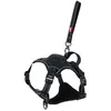 Image de Zolux Easy Ride Harnais pour Chien avec Laisse Enrouleur Intégrée - M Noir - Tissu Respirant - Tour de Poitrail 55-67cm - Bandes Réfléchissantes - Laisse 1-3m - 380g - Marque Française