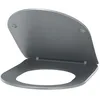 Image de Abattant WC couleur Anthracite universel clipsable/nettoyage facile - lunette de toilettes Thermodur extra plat frein de chute forme D NOYON & THIEBAULT