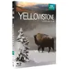 Image de Yellowstone, la lutte pour la vie Blu-ray en occasion ou reconditionné
