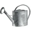 Image de ARROSOIR EN ACIER GALVANISE 13 LITRES AVEC POMME FORGES DE MAGNE - 388412