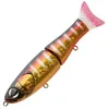 Image de Sakura Poisson Nageur S-Shiner 170 S - 170mm - 62g - 102 (Magma Gill) - Saplc5053170-102