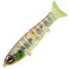 Image de Sakura Poisson Nageur S-Shiner 170 S - 170mm - 62g - 104 (HP Gill) - Saplc5053170-104