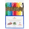 Image de DMC - Pack de 12 échevettes de Fils Mouliné Spécial 117MC | Coloris Passion