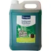 Image de Starol nettoyant assainissant pin - 5 L