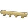Image de Collecteur 6 sorties - MF 1 - M 1/2 - Avec prise de purge F 3/8 - Riquier
