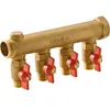 Image de Collecteur 4 sorties MF 1" Avec vanne M 1/2" Riquier