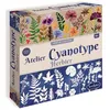 Image de Kit loisir créatif - SENTOSPHERE - Atelier Cyanotype Herbier - Procédé Photographique qui réagit à la lumière - Dès 14 ans
