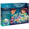 Image de La Chimie des Cristaux - SENTOSPHERE - Collection de minéraux - 2 sachets pour créer des cristaux - Dès 8 ans