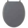 Image de Wirquin 20717953 Abattant WC Woody Gris Clair