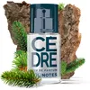 Image de Parfum Femme SOLINOTES Cedre - Eau De Parfum | Fragrance Florale et Apaisante - Cadeau Parfait pour Elle - 15 ml